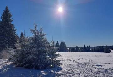 Embracing winter in Czechia