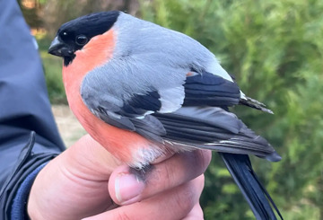 Master’s in Ecology at JCU
