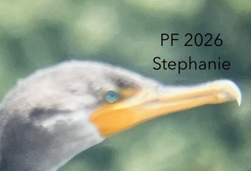 2025: A Year in Review