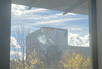 My Master’s Thesis: Bird-Window Collisions